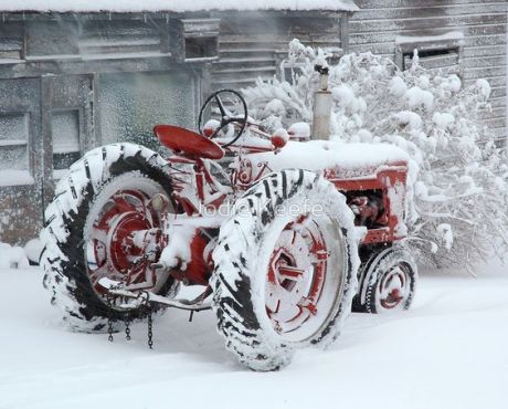 1Farmall frozen