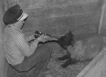 #74=Ron Sletten feeding Cheeta, circa 1959