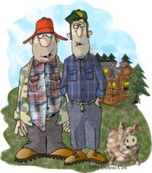 Norwegian Donut Seeds7