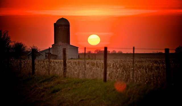 Farm sunset