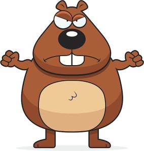 An angry cartoon beaver frowning and looking upset.