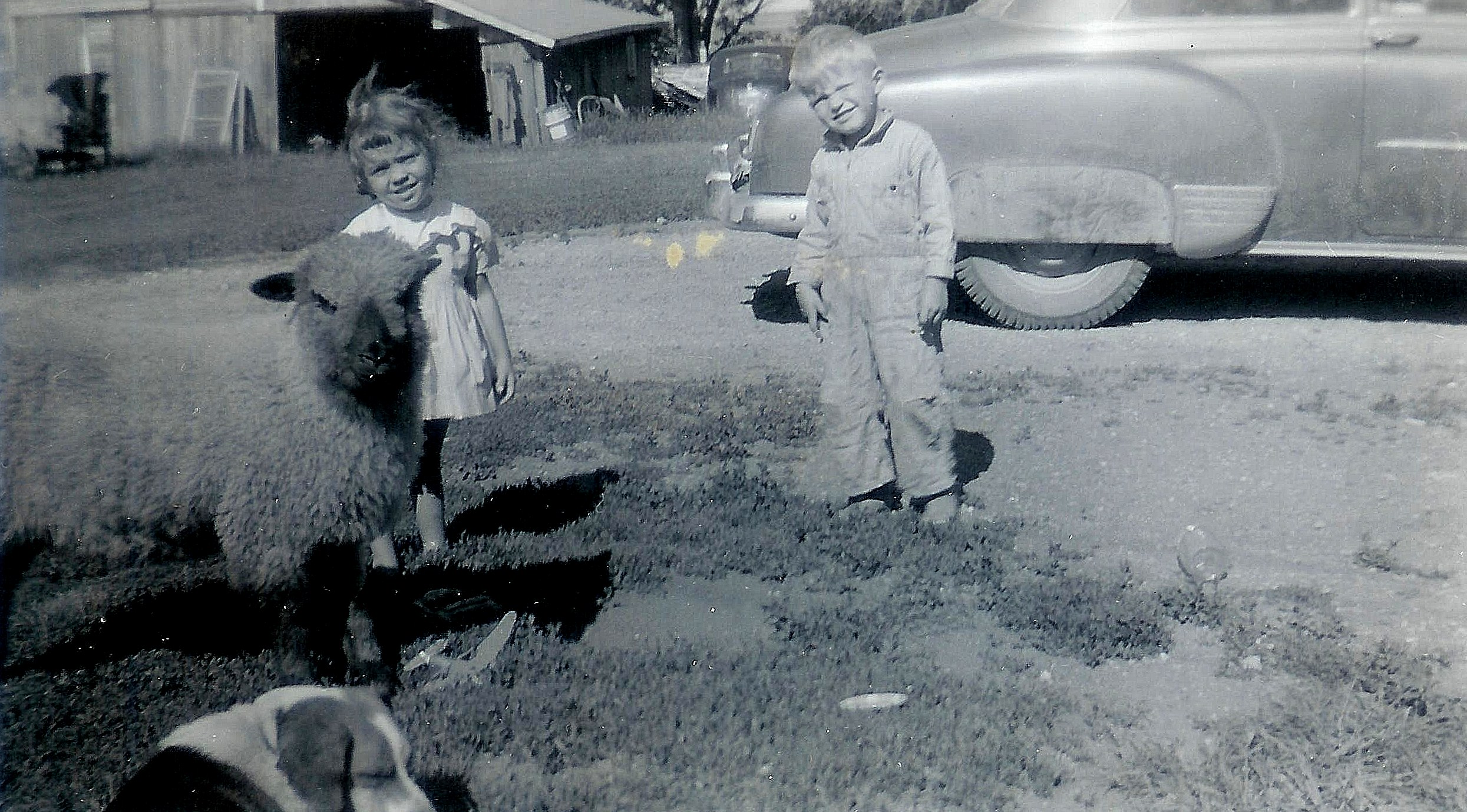 #81=Candi & Elliott with Cheeta, Summer '58