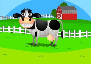 Cow 1