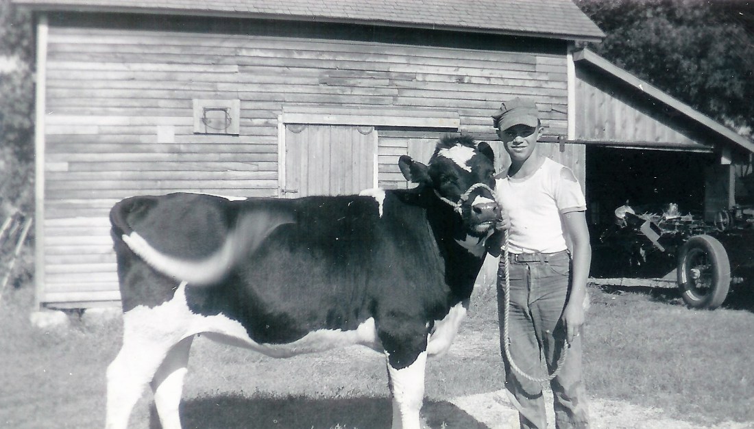 #39=Lowell with cow (circa 1960)