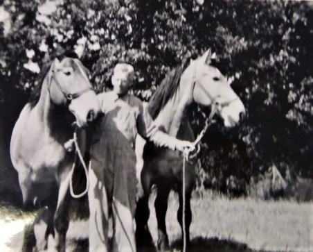 #1210 Edwin Noorlun with draft horses on Tollefson farm.