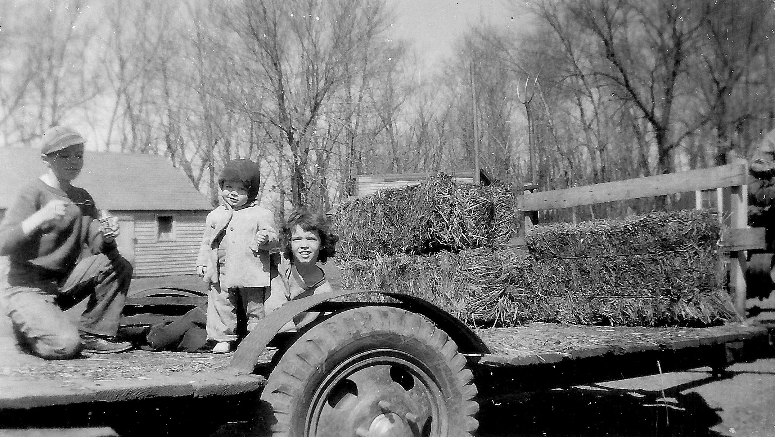 #45=Elliott, Lowell & Rosie on hay wagon(March 1955)