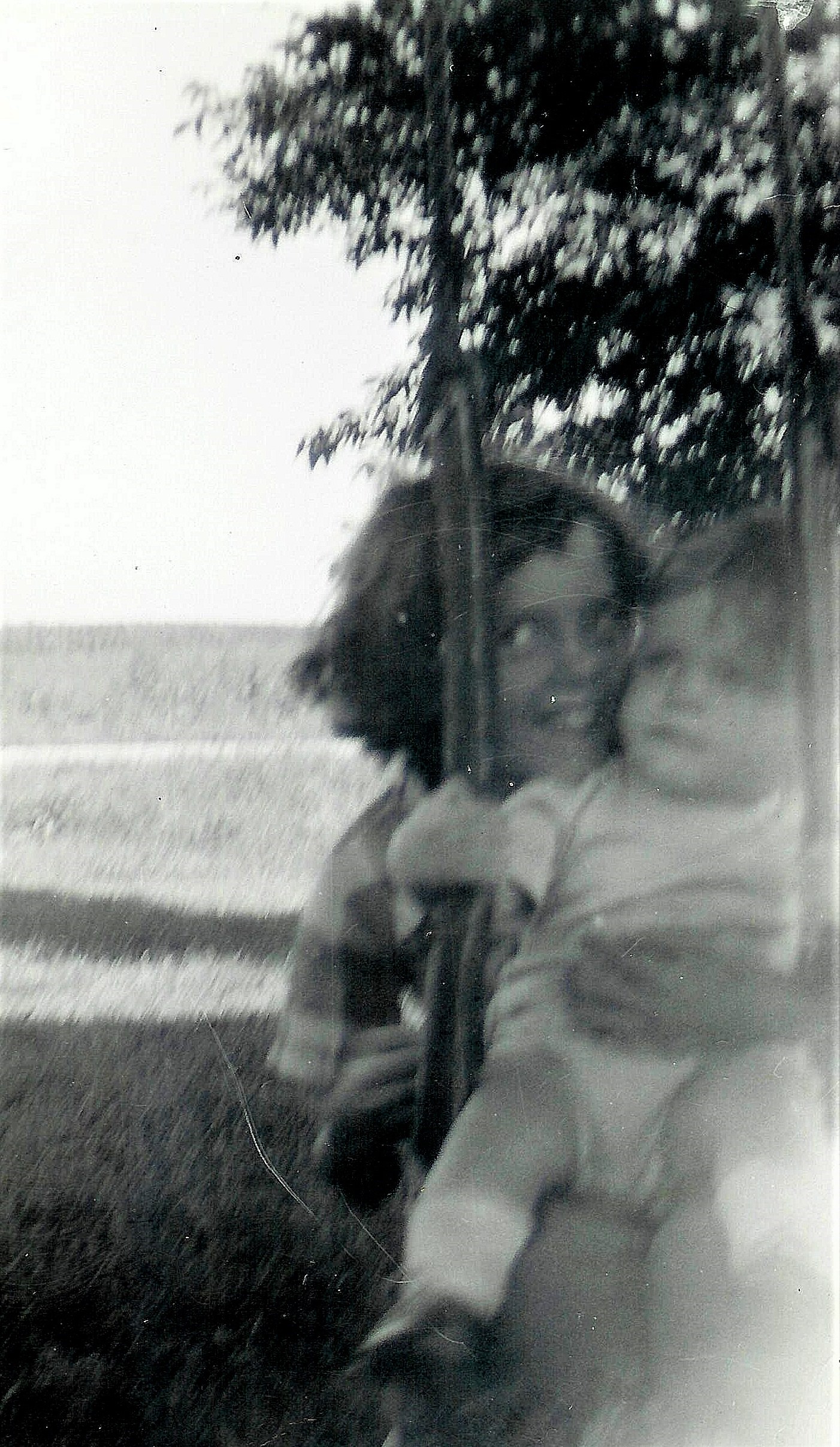 #103.1=Elliott in tree swing with Rosemary; Aug. 31, 1954