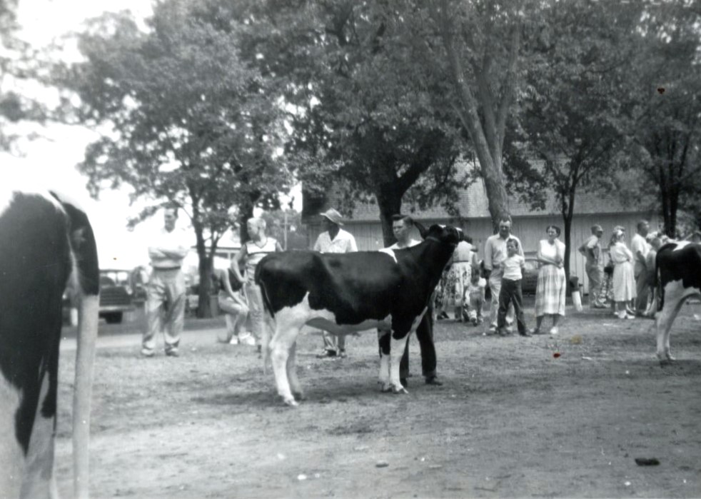 NFS 7.8z Lowell Noorlun at Faribault County Fair 4H. circa 1959
