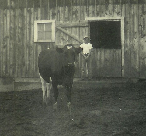 #160=Lowell and cow near barn; June 19, 1955