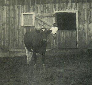 #160=Lowell and cow near barn; June 19, 1955