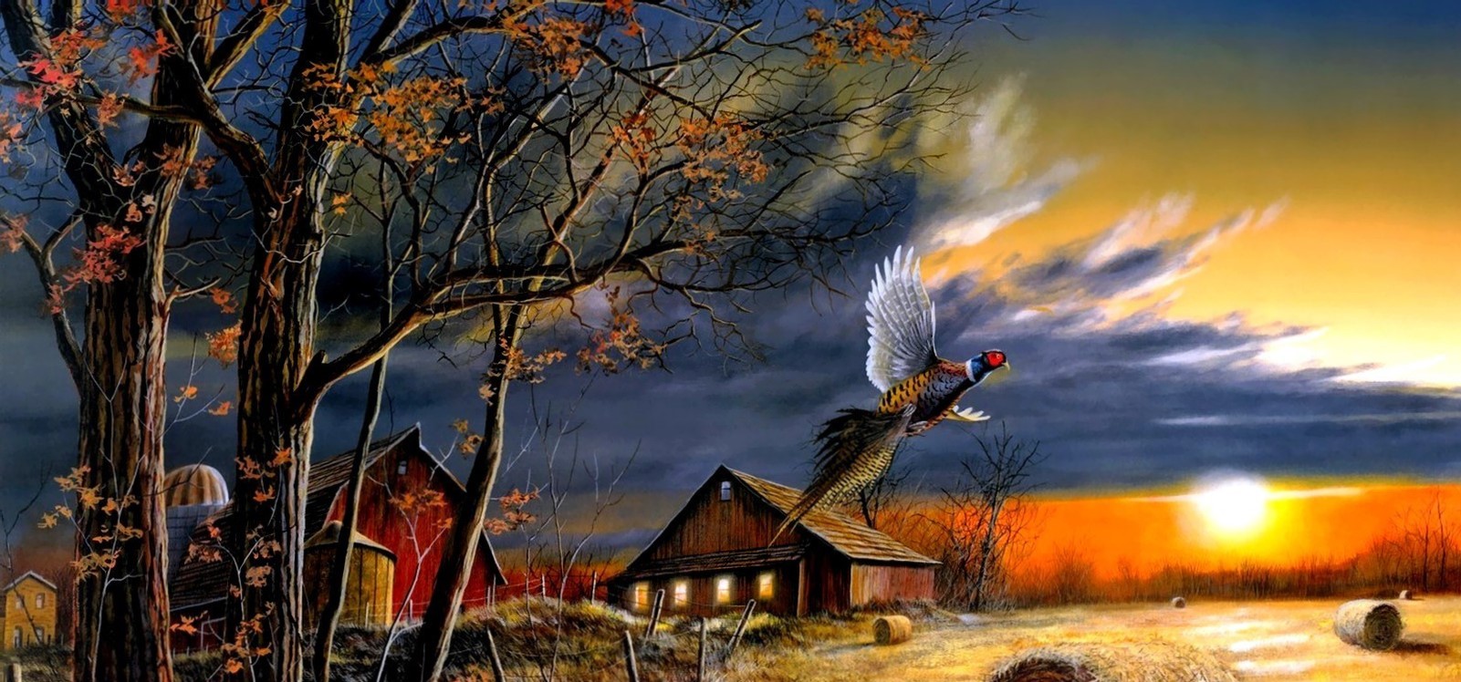 Farm Sunset5
