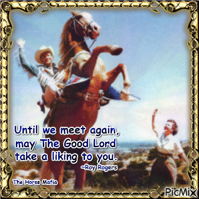 NFS 9.26m