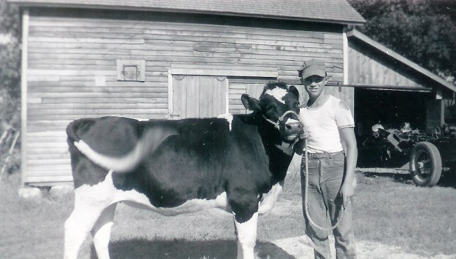 #39=Lowell with cow (circa 1960)
