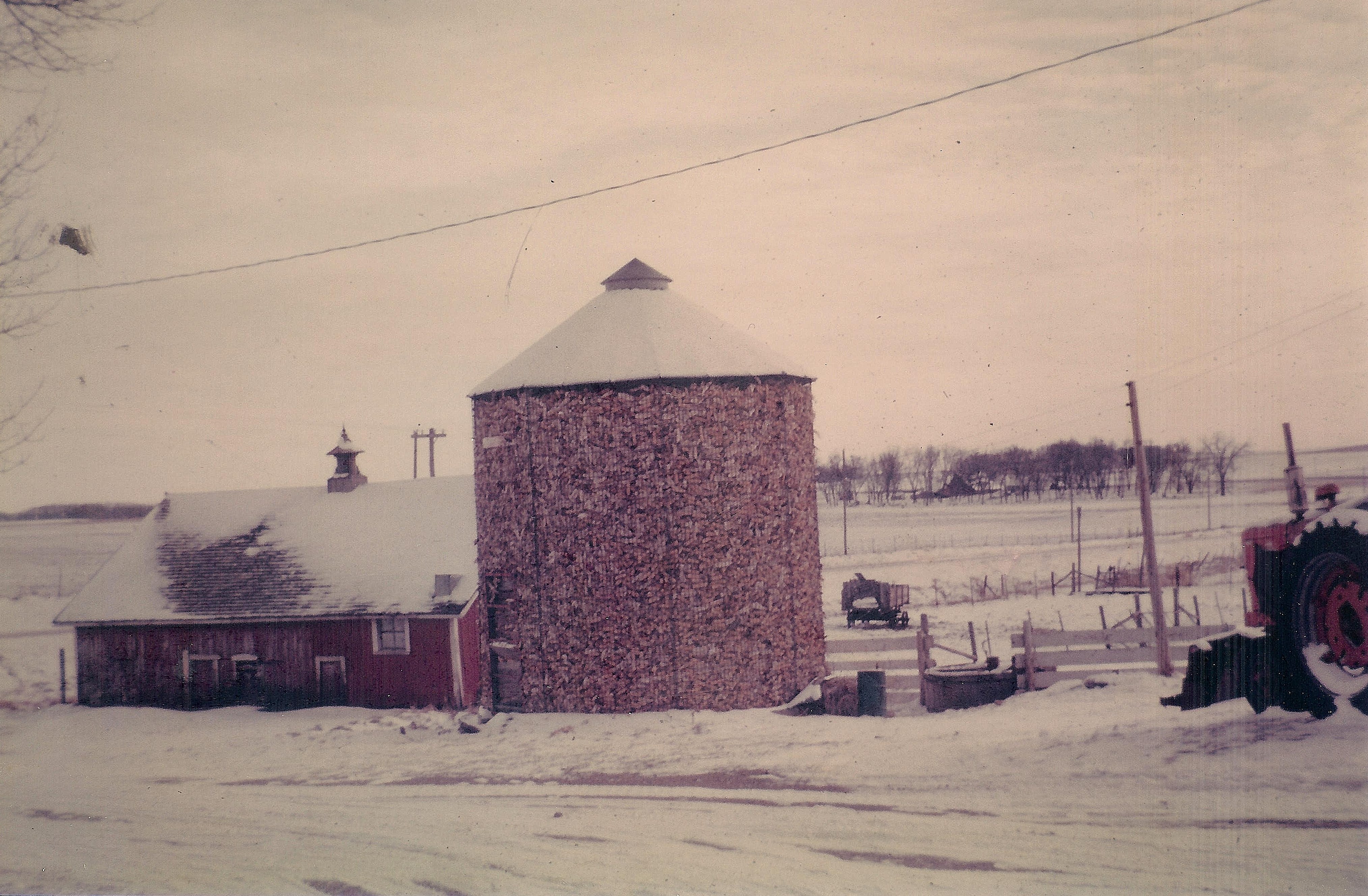 #70=Corncrib & Hog House in Kiester, MN...looking SE.