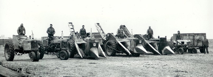 #98=Russell helping harvest corn at Bauman's, 1962