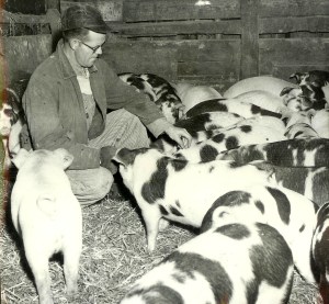 #28.1=Dad on TV commercial for Purina Hog Feed, early 1960's