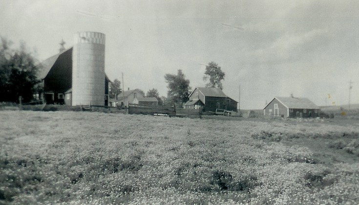 #76=Kiester farm, looking NE from field